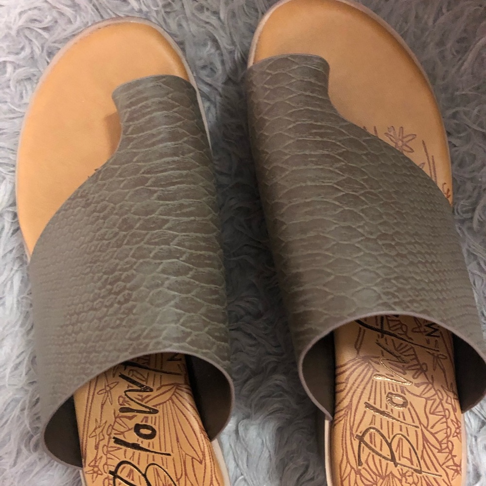 Blowfish platforms